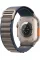 Apple Watch Ultra 2 49mm Titanium Case with Blue Alpine Loop (Medium)